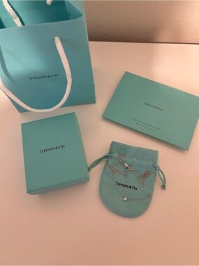 Tiffany & Co. Sterling Silver Pendant Necklace with Tiffany Blue Pouch